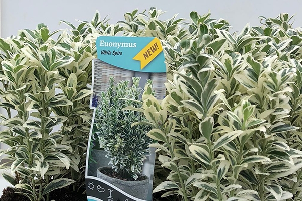 Neue Produkte